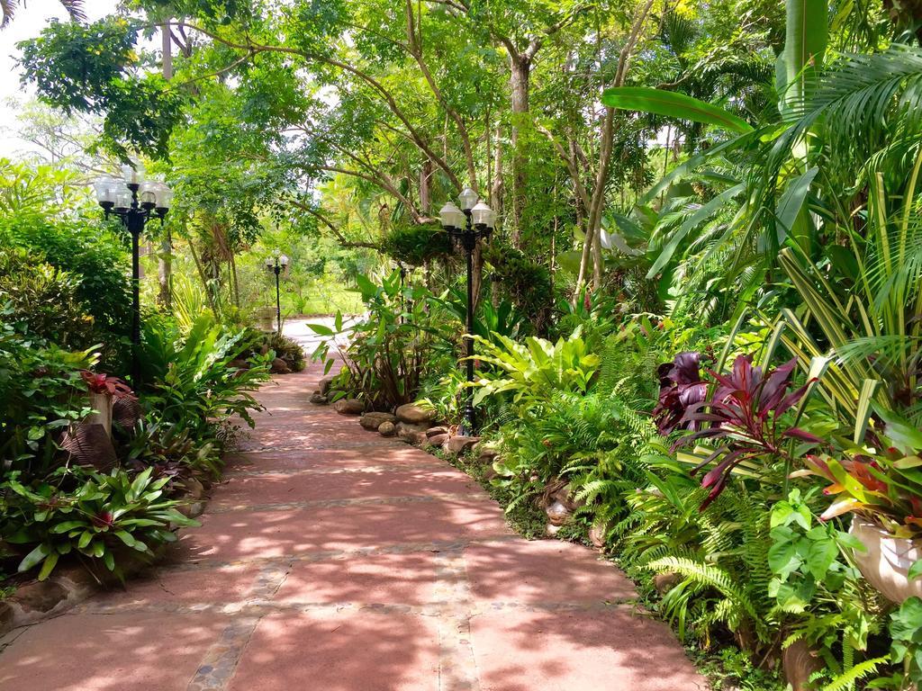 Phu Pha Nam Resort Dan Sai Extérieur photo