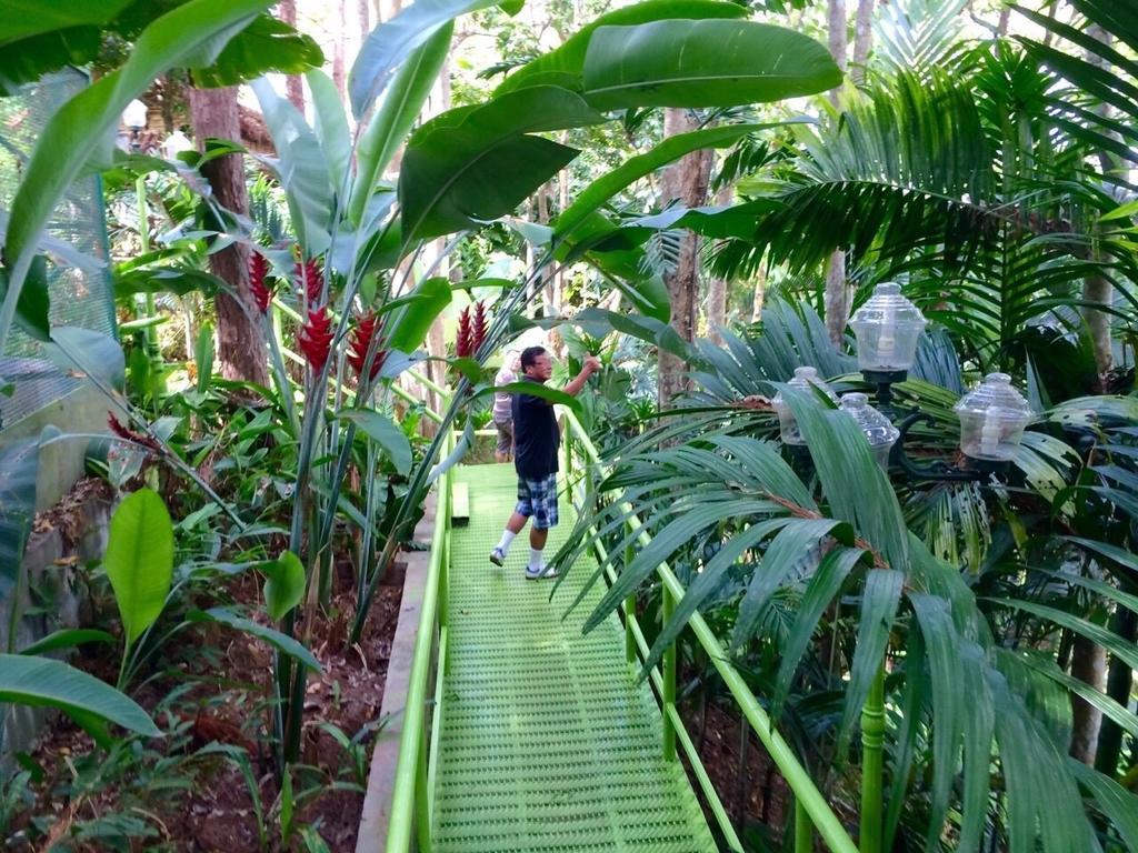 Phu Pha Nam Resort Dan Sai Extérieur photo