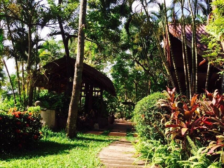 Phu Pha Nam Resort Dan Sai Extérieur photo